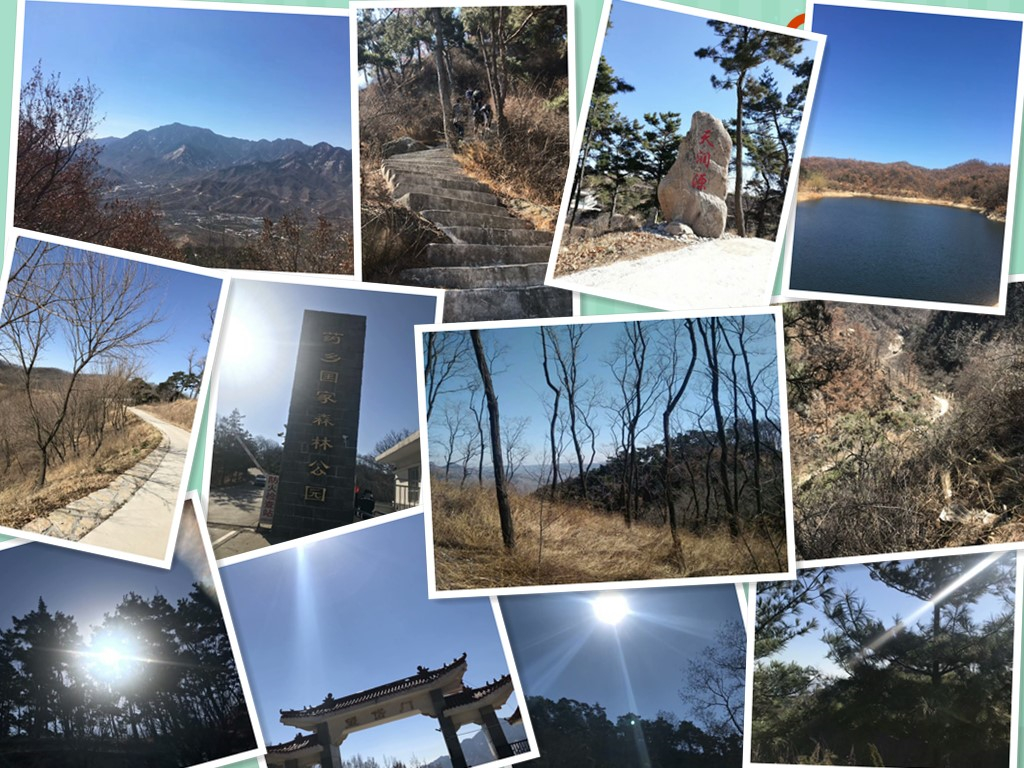 彈簧試驗機廠家 春游圖